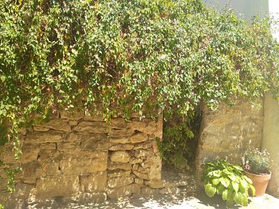 Txókolo Eulz Navarra